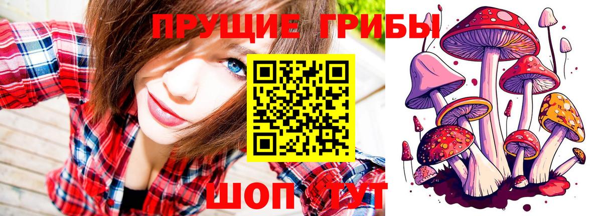 Галлюциногенные грибы Psilocybine cubensis Альметьевск